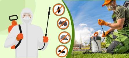 Emergency Pest Control Middle Park